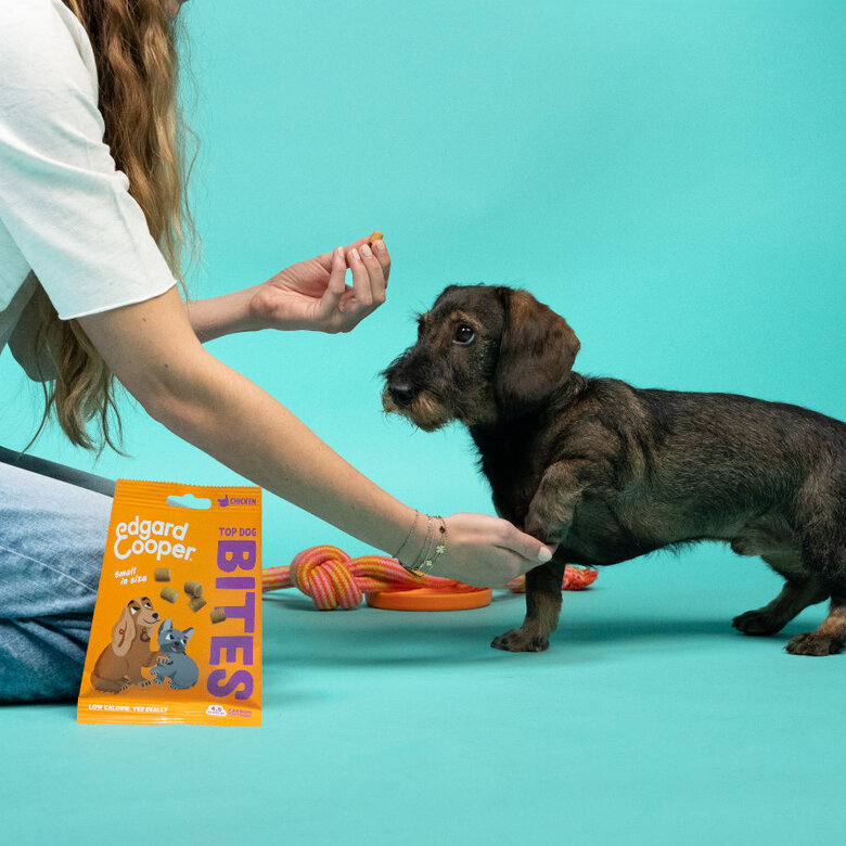 50 g Edgard y Cooper Snacks Mini de Peru e Frango para cães,  Imagem número 3 50 g Edgard y Cooper Snacks Mini de Peru e Frango para cães, , large Imagem número 3